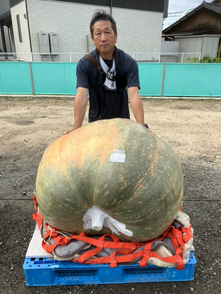 第38回日本一どでカボチャ大会」で262.3kgの大健闘！初参加で11位入賞