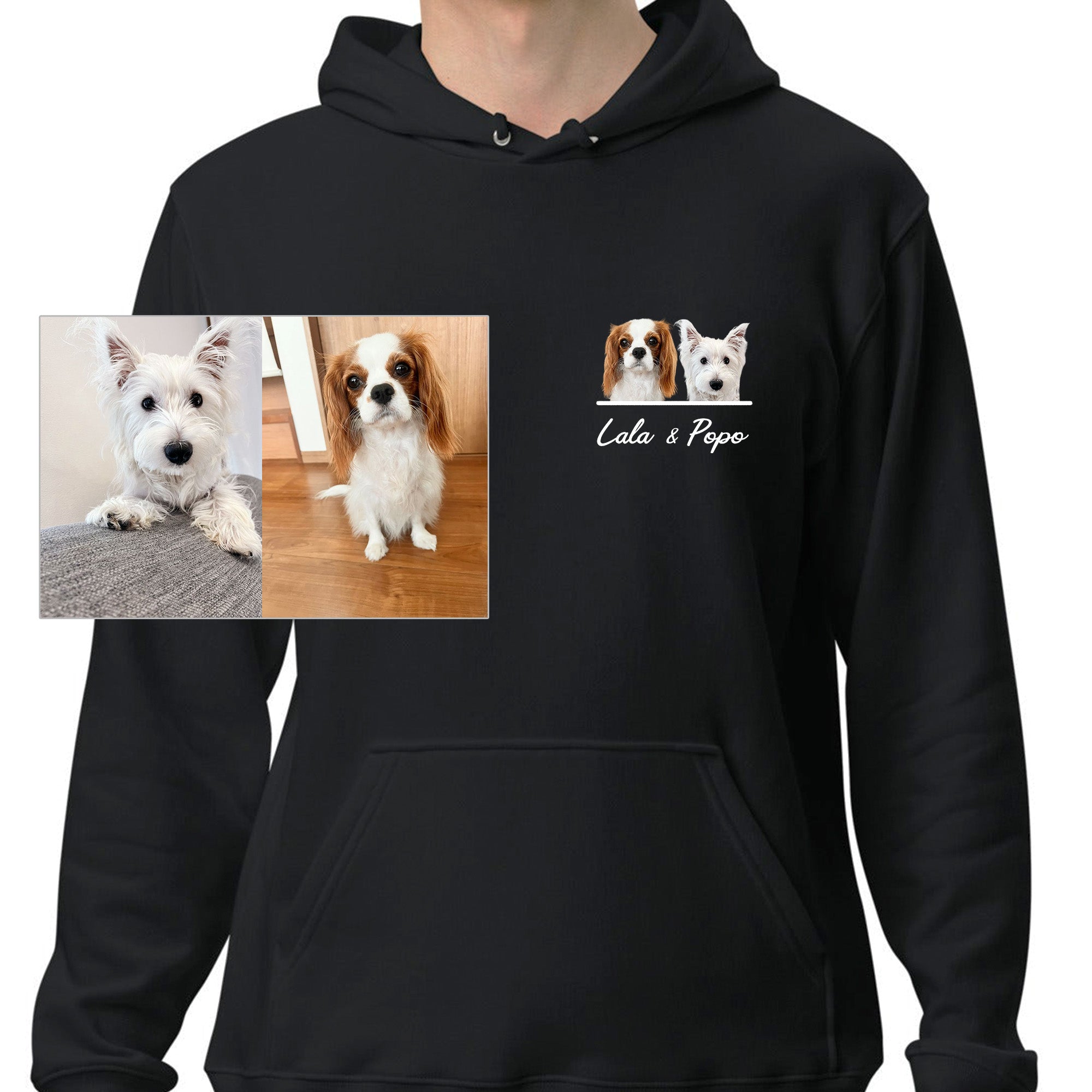 86.jpg?v=1770198065&width=1946