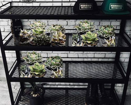 84fedf0ea226eeec6642e2ceeb2865