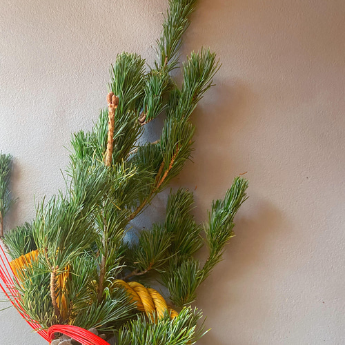 お正月飾り 五葉松 しめ縄・しめ飾り ms.blooming.flower 通販