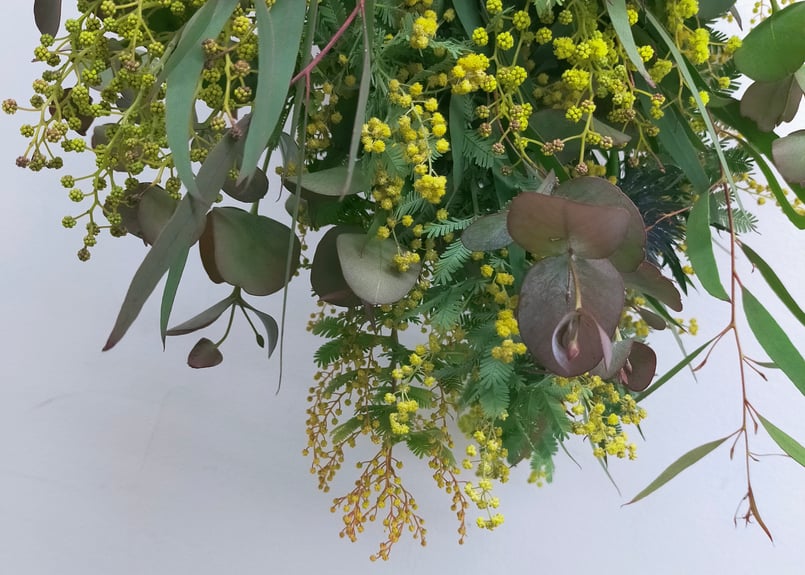 限定】ミモザのスワッグ | Glanet collection