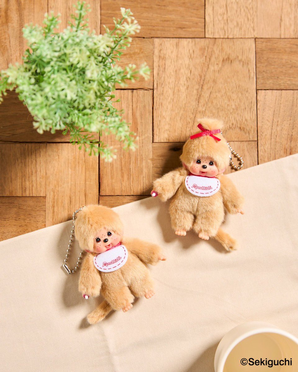 セキグチ公式オンラインショップ (@sekiguchi1918) / Posts / X