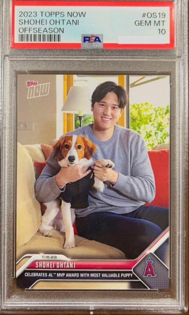 【PSA10】大谷翔平 デコピン MVPカード 2023【24時間限定発売】 PSA10】 topps now 大谷翔平 2023 MVPデコピン - メルカリ