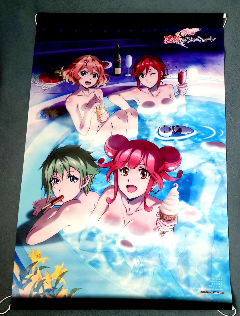 新品未使用　劇場版マクロスΔ 激情のワルキューレ タペストリー resize_image.php?image=