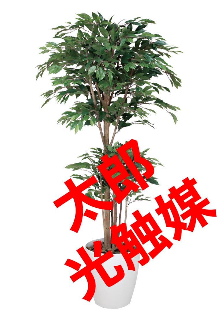 光触媒　人工観葉植物　フェイクグリーン　トロピカルベンジャミン 1.6m