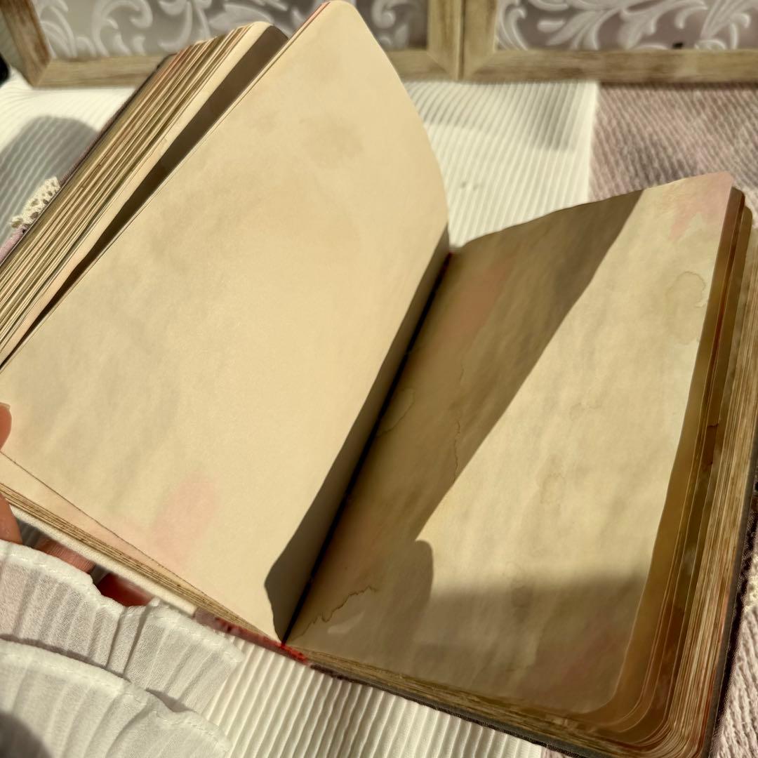 365diary 刺繍 日記帳 365diary 刺繍 日記帳 - _ace ✲ luv_ | minne